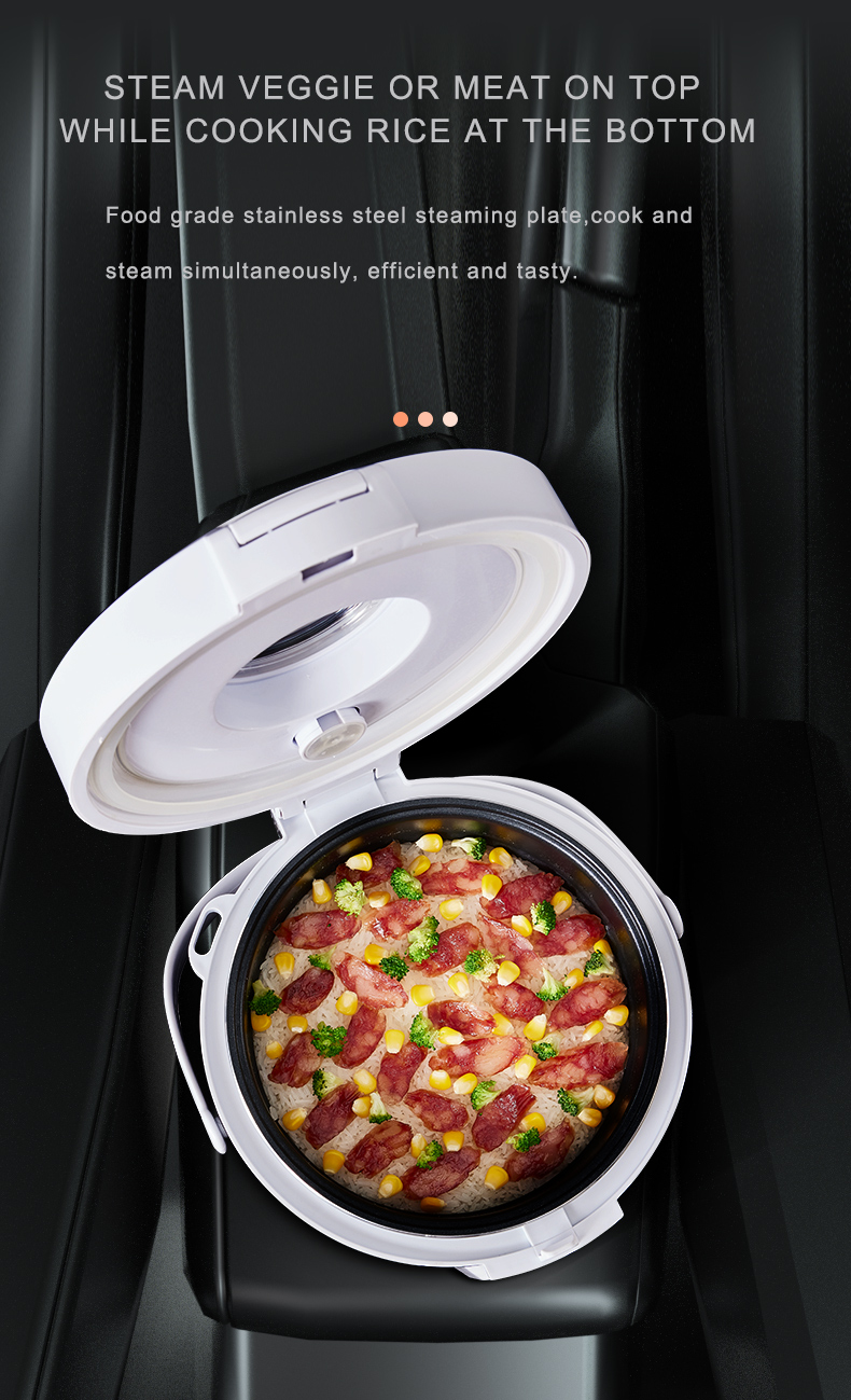 Scaldavivande Elettrico 24V pe - Camping Cooking Meals recensione e prezzo