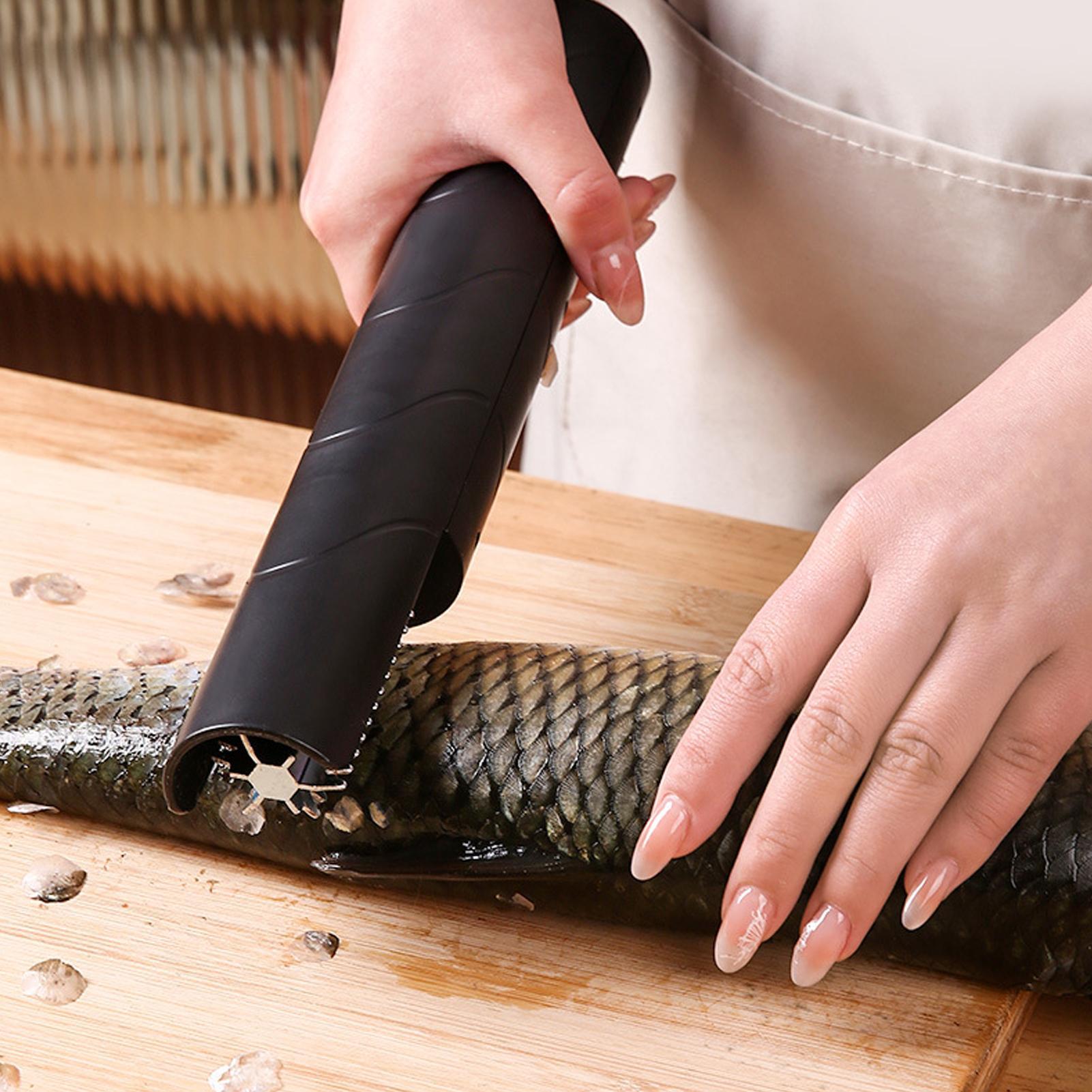 Squamatrice per pesce portatil - Camping Cooking Meals recensione e prezzo